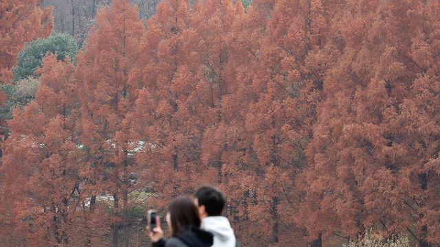 낮부터 추위 잠시 주춤…평년보다 기온 올라 포근한 주말