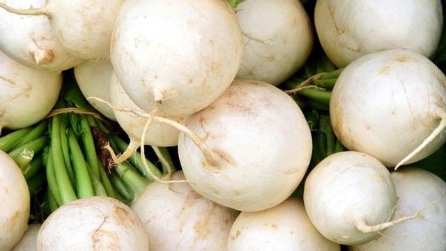 지금이 제철 달콤한 '무'...