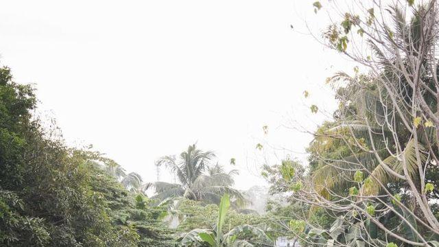 필리핀 다바오 일주일 여행기 스냅사진으로 썰 풀어본다. (스압빡셈)