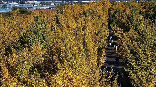 대구·경북 구름 많고 큰 일교차…낮 최고 13∼19도