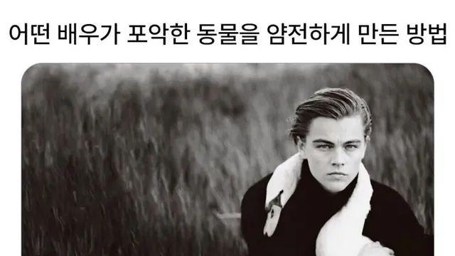 길냥이가 나만 보면 도망치는 이유,,