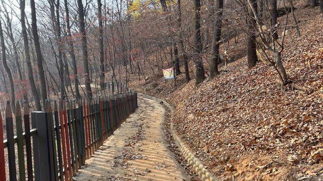 대전시, 보문산에 맨발길 조성