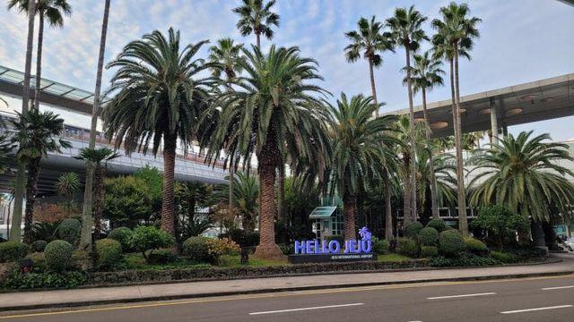 개돼지린이 한라산 후기