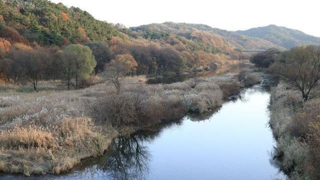 갑천습지 보호지역서 57만㎥ 모래 준설계획…환경단체 