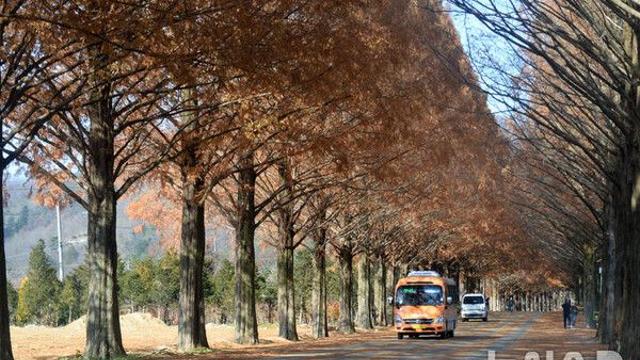 전북 낮 9~12도 '맑음'…황사 유입 가능성