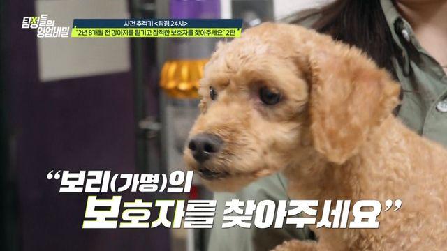 '영업비밀' 강아지 유기 의혹 견주, 새벽에 술 사 갔다?! 진실 공방