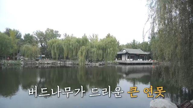 '독박투어4' 장동민, 왕홍 분장 후 벌레 먹방→김민경·손호준 '경악'