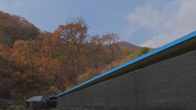 오늘자 미친짓으로 유튜브 레드오션 만드는 100만 유튜버