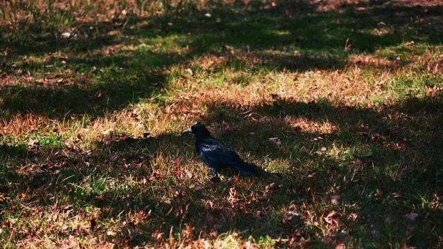 오늘 새찍 처음해봄