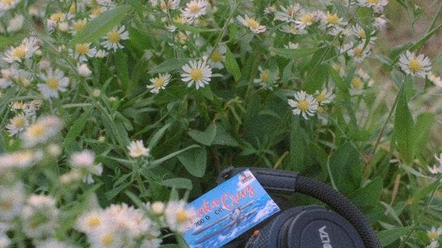 Minolta X-700 / Cinemot Santacruz 200