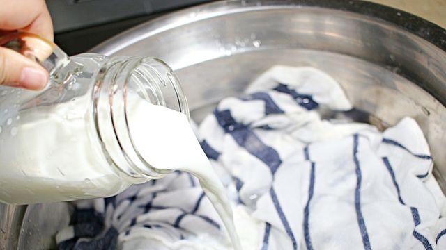 행주, 흰티 누렇게 변했다고요? 예상못한 표백 꿀팁 알려드릴게요!