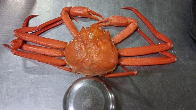 바가지 논란 '속초'...이번엔 홍게 4마리에 12만5000원, '분노'