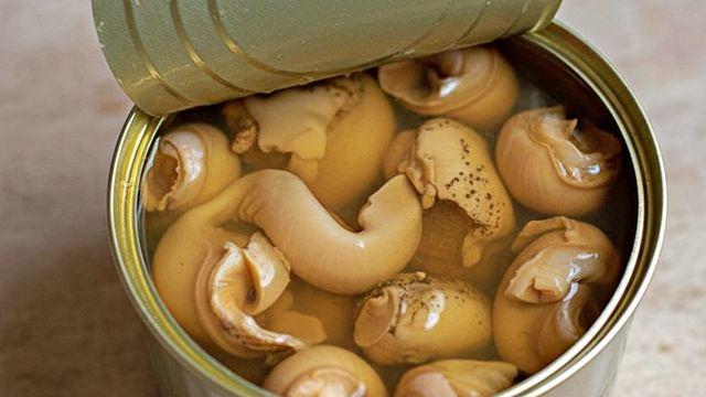 골뱅이에서 나온 물 아니었어?…골뱅이 통조림 속 '국물'의 반전 정체