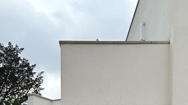 [유정 칼럼] 샘플을 찾아서