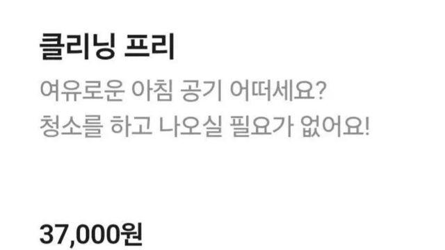 요즘 펜션 옵션 근황 