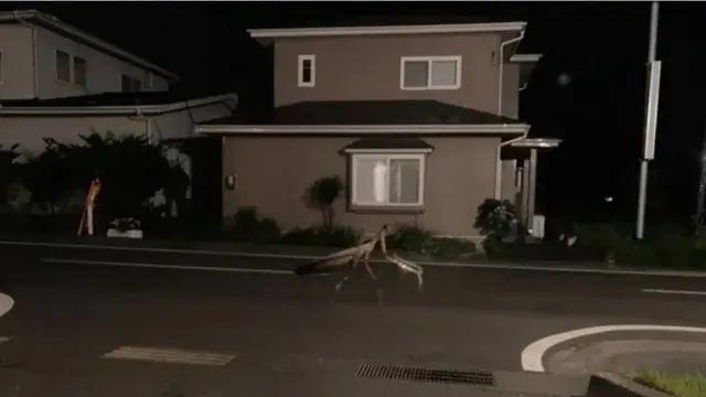 갑자기 분위기 호러,,