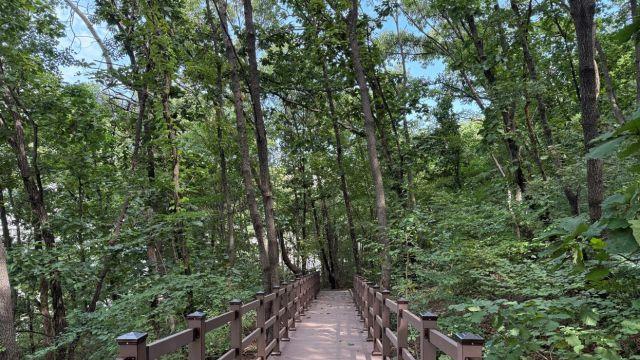 하남시 황산숲 데크로드 준공…시민 건강 디딤돌 기대