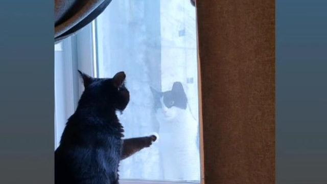 썸타는중이에요. ????