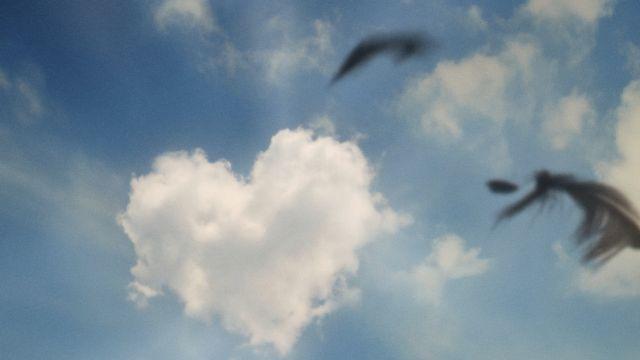 차정원씨, 본업이 음악이네요? 카더가든, 16일 새 EP 발매