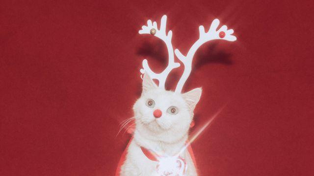 프로미스나인이 전하는 겨울이야기