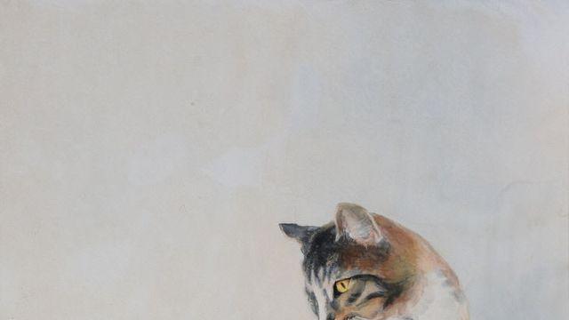 한국화가 권민경 2일부터 개인전 '시선' 선봬