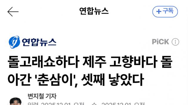 '춘삼이' 고향 제주서 셋째 출산 확인