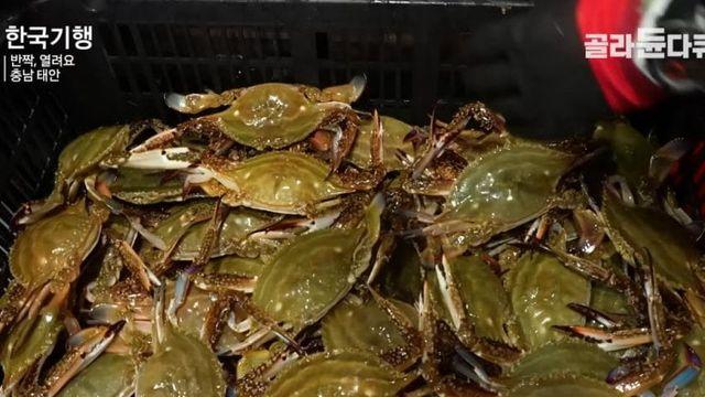 피해자들의 진술이 일관적인 영상