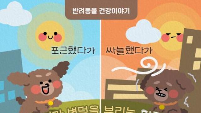 [반려동물 건강이야기] 날씨가 변덕을 부리는 환절기-반려동물 감기 주의보