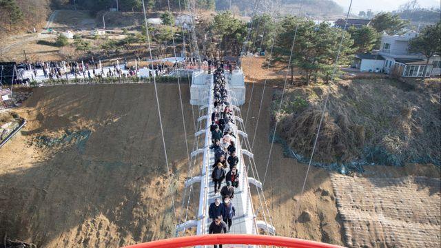 '세계지질공원 한눈에!'…연천군, 한탄강 베개용암 출렁다리 개통