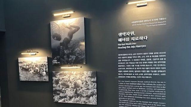 식약처, '생약자원, 해녀를 치료하다' 제주해녀박물관과 공동기획전 개막
