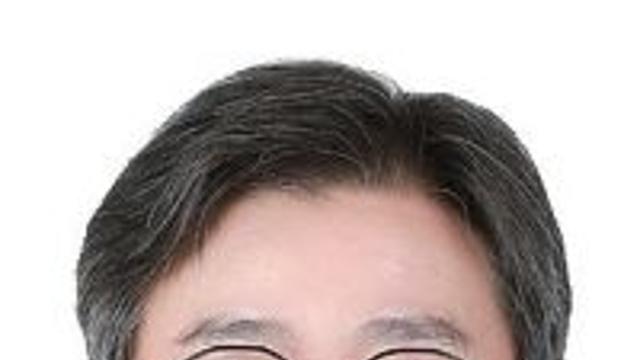 [문화산책] 피탈 문화유산 원상회복 흐름