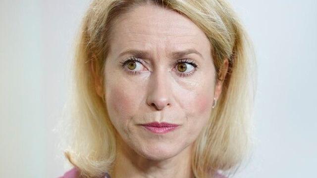 푸틴·美위트코프 회담 앞두고 EU 외교안보 대표 