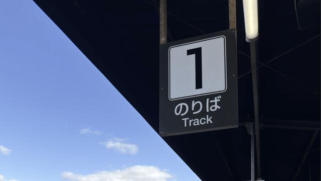 장문) 컁 내한 볼려고 3일간 고생한 후기+나눔 후기