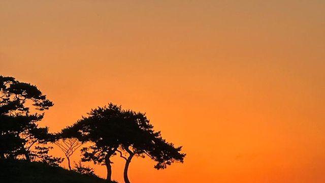 1박2일 여행코스 ①군산선유도 유람선·부안 곰소항·부안 위도·부안 도청리 솔섬