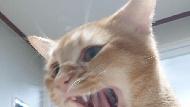 진짜 환율5적 떴다 ㄷㄷㄷㄷㄷ