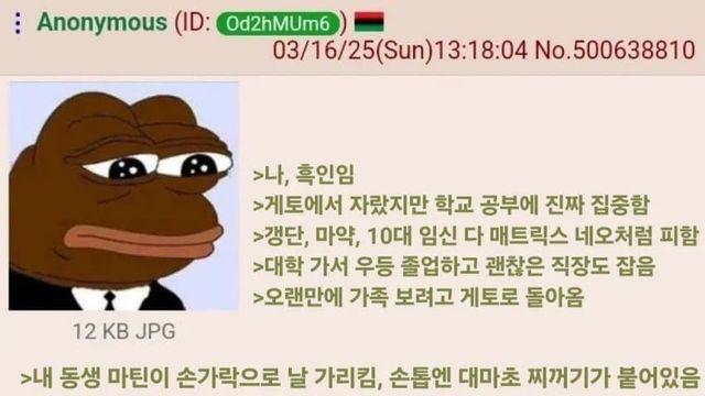 훌쩍훌쩍 어느 대졸자 흑인의 삶