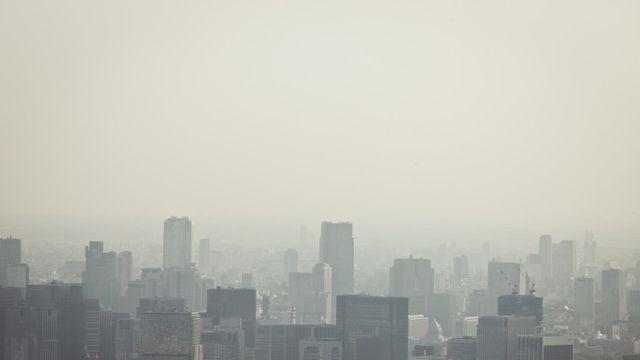 미세먼지 '보통수준'도 전립선암 발병 위험 높인다
