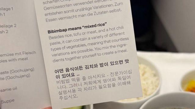 우리나라 사람에게 양보해달라는 어느 항공사 설명서