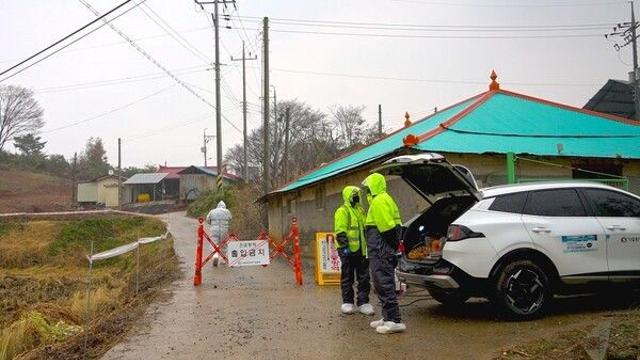 당진시, ASF 확산 차단 총력 … “3개 농장 1810두 살처분”