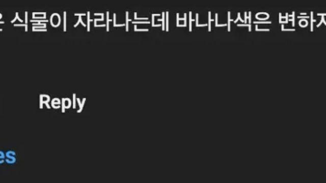 바나나에 식물을 심으면 잘 자란다.mp4,,