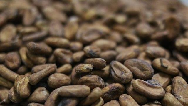 노화방지에 탁월한 '카카오닙스'...