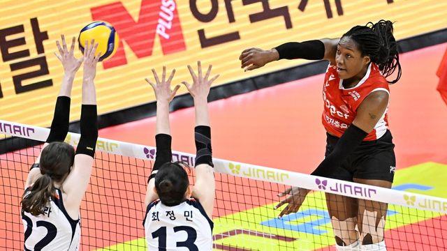 프로배구 여자부 2위 싸움 대혼전…네 팀 물고 물리는 각축전