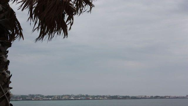 '상당한 부패 진행, 무게 측정 불가..' 제주도 해변에서 죽은 채로 발견돼 난리 난 '길이 2.5m' 멸종위기 동물