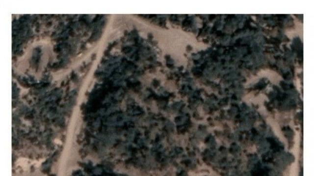 북한군 포대진지의 위장술