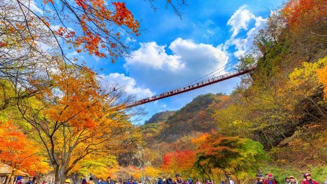 순창 강천산에 단풍 관광객 17만명…인구보다 6배 이상 방문