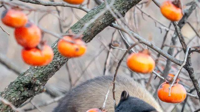새찍하러 나갔다가 찍고온거