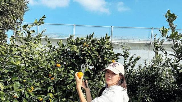 박한별 제주에서 여유 만끽…귤 따기에 열중