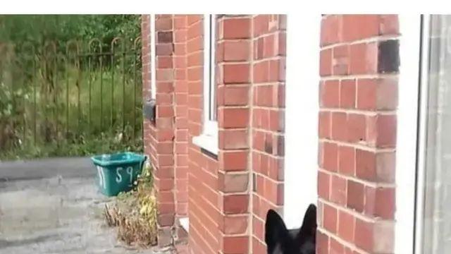 AI야 사진을 정면 각도로 보여줘,,