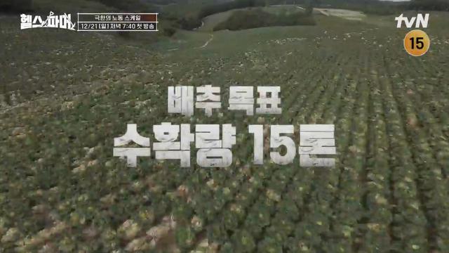‘배추 15톤→1000그루 벌목’, 추성훈→백호 멘탈 나감 (헬스파머)