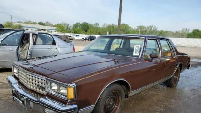 미국에서 과학인 차들